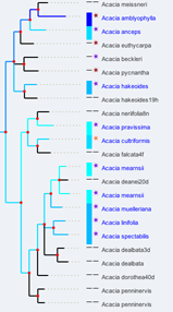 screen grab segment from a phylojive
              case study