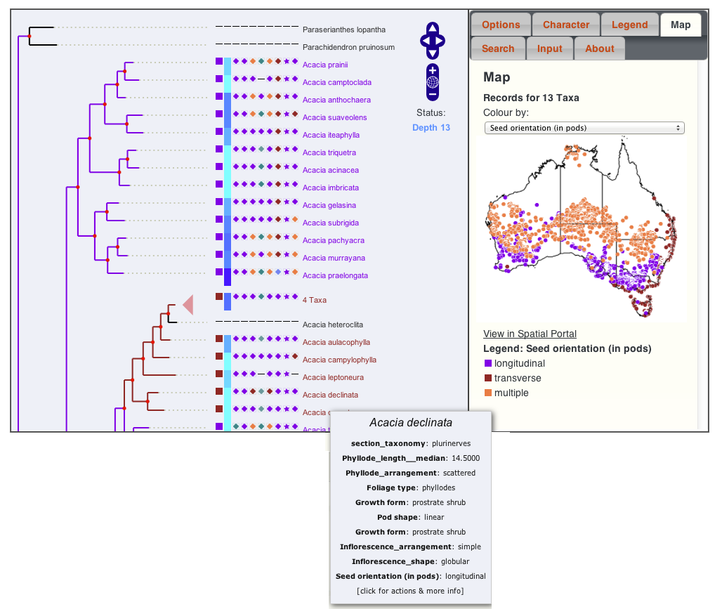 Acacia characters and maps as linked in the ALA
              portal