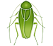 Blattodea & Isoptera